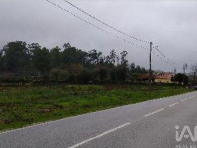 Tondela Viseu 103702539