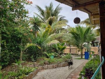 Toes in the Sand Ecolodge: Se Vende Hotel Frente al Mar en Canoa