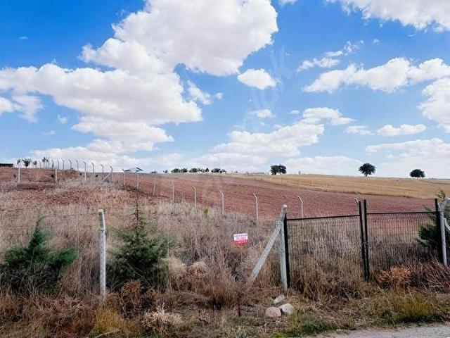 TOHUMLARDA YATIRIMLIK 790 M2 BAHÇE