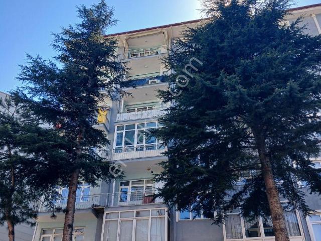 Tokat Bizim Emlaktan 3+1 Kiralık Daire