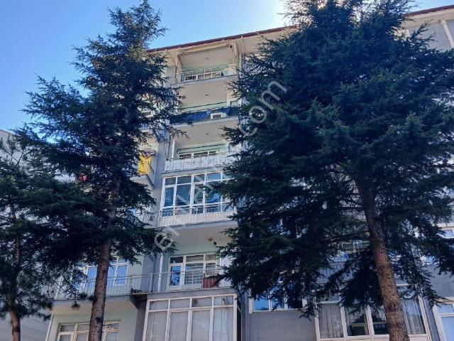 Tokat Bizim Emlaktan Kiralık Daire