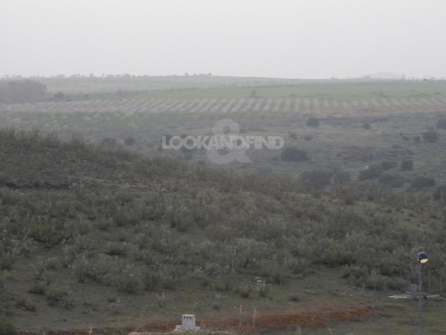 TOLEDO LAYOS PARCELA EN ESQUINA DE 1237,27M2