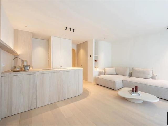 Top gerenoveerd appartement met zij zeezicht, Driehoeksplein