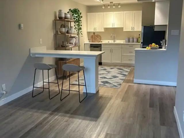 BEAUTIFUL 1 BEDROOM NEWLY RENOVATED WITH AMAZING VIEWS OF DOWNTOWN