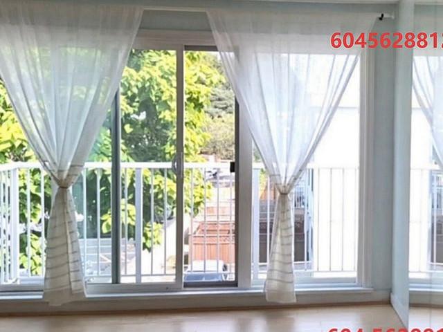 Top flr, Se Face, Corner Bright Specious 1 bdrm Apt, Richmond Bc