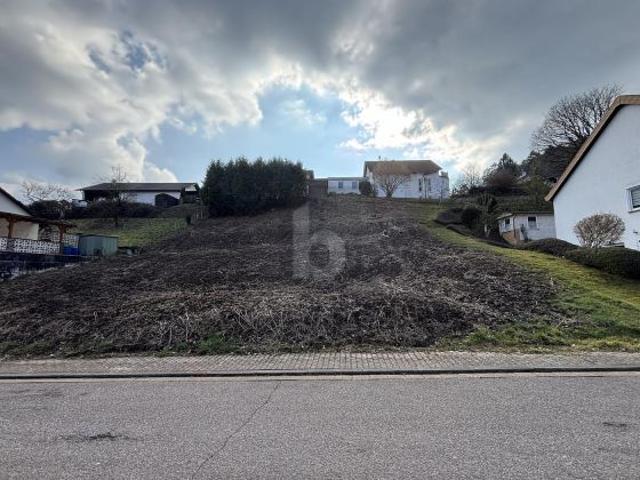 TOP LAGE, VIELE BAUMÖGLICHKEITEN, 765M²