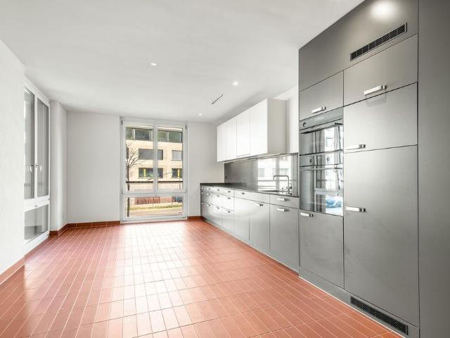 Top modern apartment on the Sihl