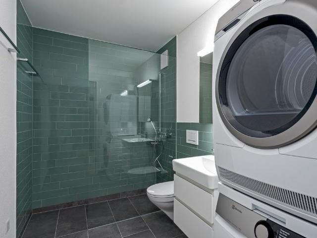 Top moderne Wohnung im Kreis 9, Zürich Albisrieden