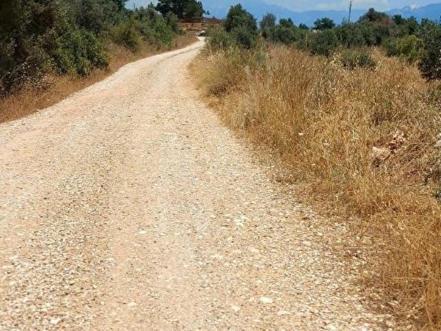 TOPALLIDA 2 ADET TEK TAPU TOPLAM 2700 M2 SATILIK TARLA