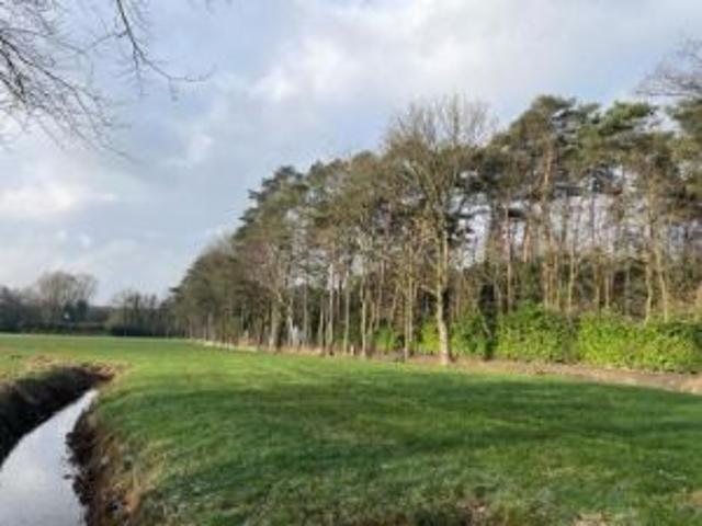 Topgelegen weiland in totaal +/ 6380 m2