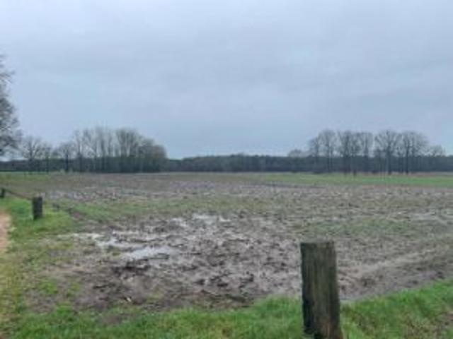 Topgelegen weiland op +/ 16995 m2