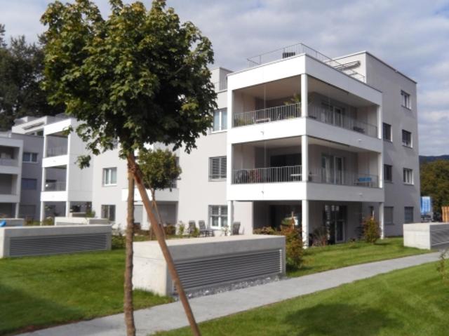 Topmoderne Wohnung direkt an der Reuss