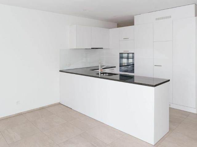 Topmoderne 4 1/2 Zimmerwohnung im Erdgeschoss