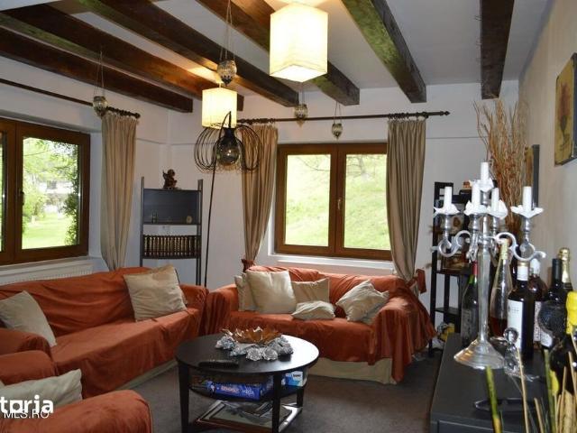 Topoloveni Casa cu teren 1500 mp langa padure, garaj, anexe