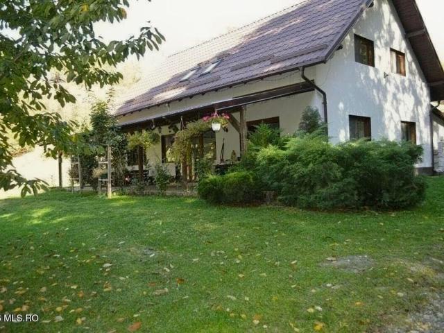 Topoloveni Casa cu teren 1500 mp langa padure, garaj, anexe
