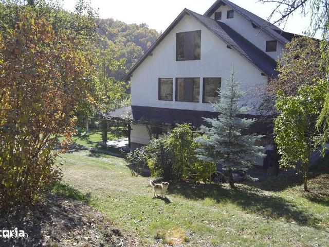 Topoloveni Conacul Ion Mihalache, Domeniu pe 5 Hectare
