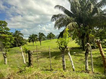 Tortí | Venta de Finca Agropecuaria en Tortí – Chepo