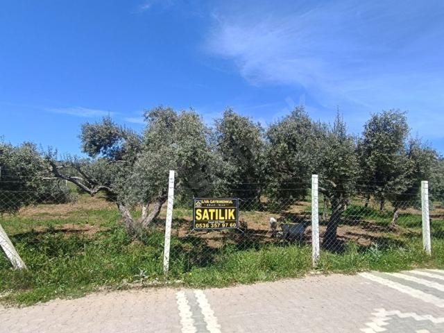 Torbalı capak mah.satilik tarla