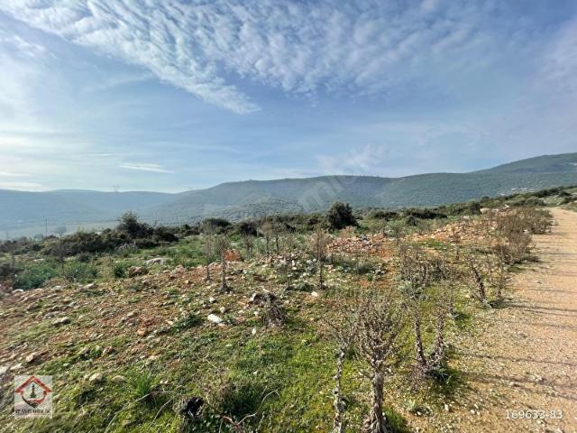 Torbalı Ahmetli'de Villa İmarlı Arsa