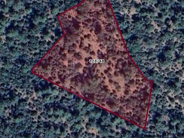 Torbalı Dağkızılca'da 9.3 Dönüm Zeytinlik