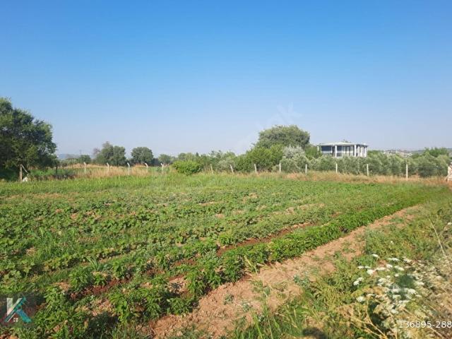 Torbalı karakuyuda 1782 metre kare müstakil tapu satılık tarla