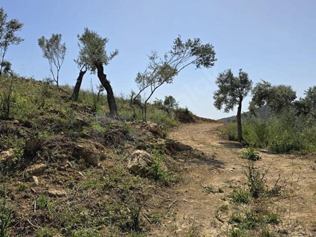 Torbalı Karakzılar köyünde Satılık Zeytinlik Daire Takas olur
