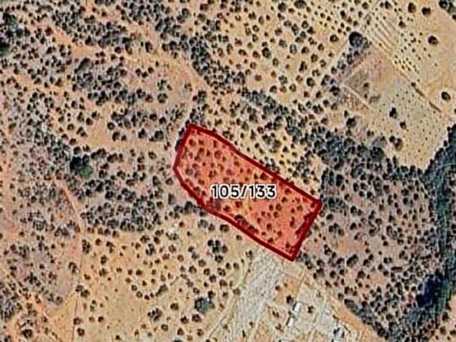 Torbalı Karakızlar' da Müstakil Tapulu 5775 m2 Satılık Zeytinlik