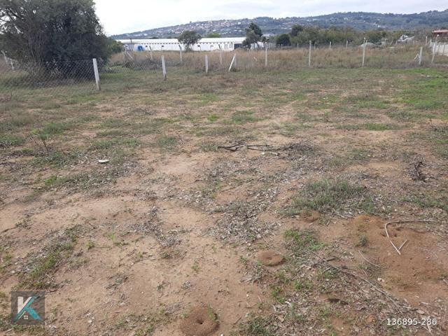 Torbalı Ortaköy de 240 metre kare satılık hisse tapulu tarla
