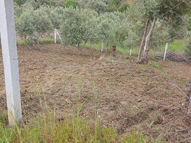 Torbalı Saipler'de Köy İçinde Satılık Arsa