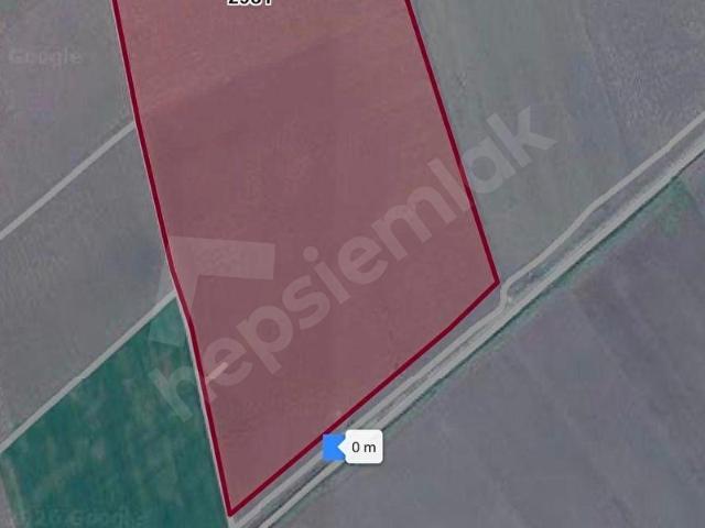 Torbalı Pancar Satılık Tarla