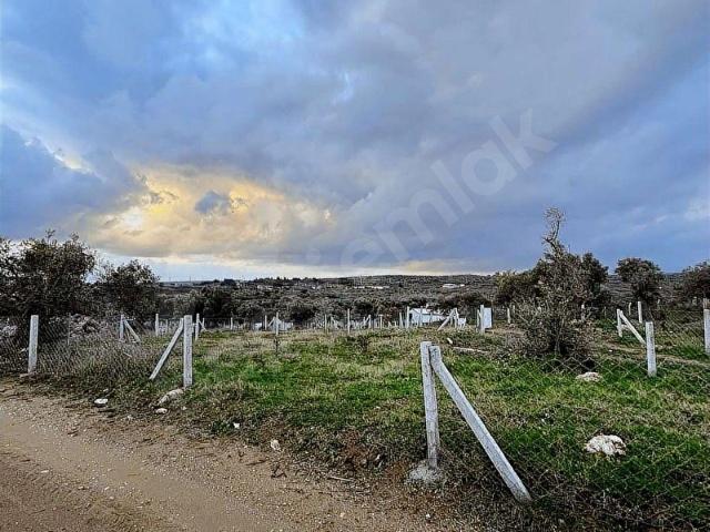 Torbalı Yazıbaşında 210 m Satılık Tapulu Bahçe