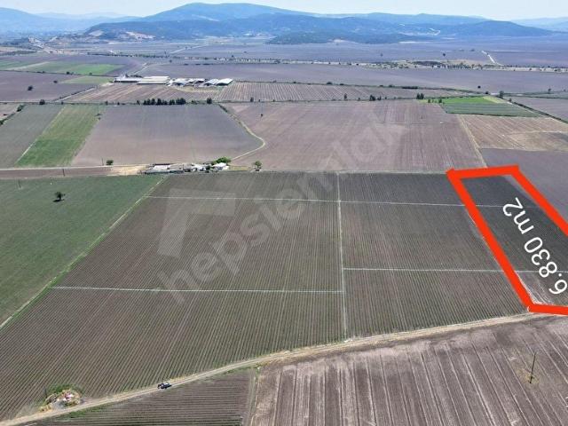 Torbalı Yazıbaşı'da Satılık Tarla
