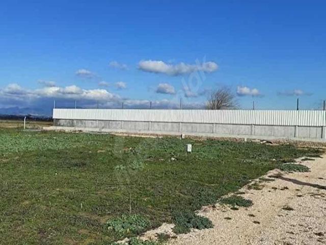 TORBALI OTOBAN GİRİŞİNDE KÖŞE PARSEL SATILIK KUPON YER