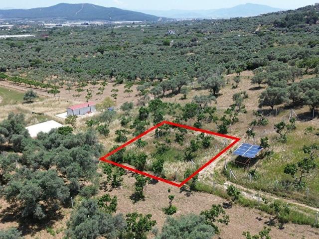 TORBALI ÇAPAKTA 220M2 SONDAJLI, TEL ÇİTLE ÇEVRİLİ BAHÇE