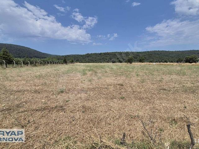 TORBALI ARSLANDA KİRA GETİRİLİ SATILIK 14600m YATIRIMLIK TARLA