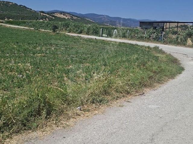 TORBALİ ASLANLAR MAH RESMIİ YOLA CEPHELI