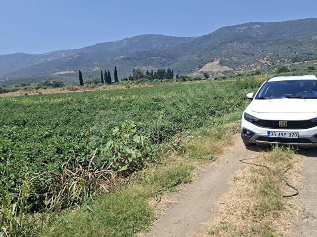 TORBALI YENİKÖY'DE YATIRIMLIK 10.600 M SATILIK KUPON TARLA
