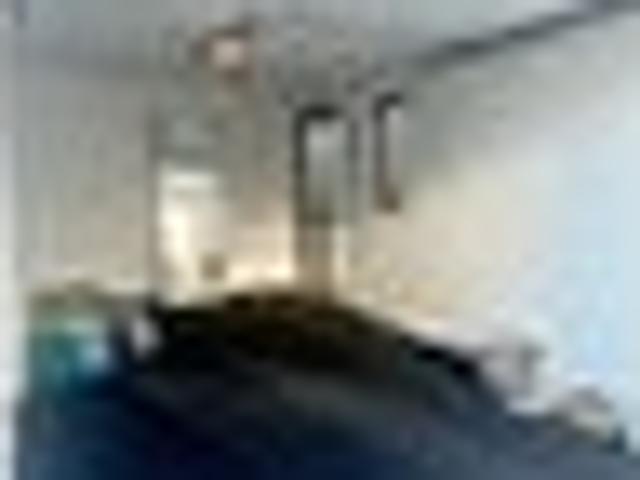Torbay, 3 bedrooms, $800 pw