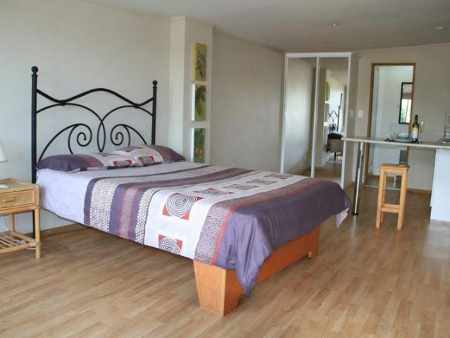 torbay, studio