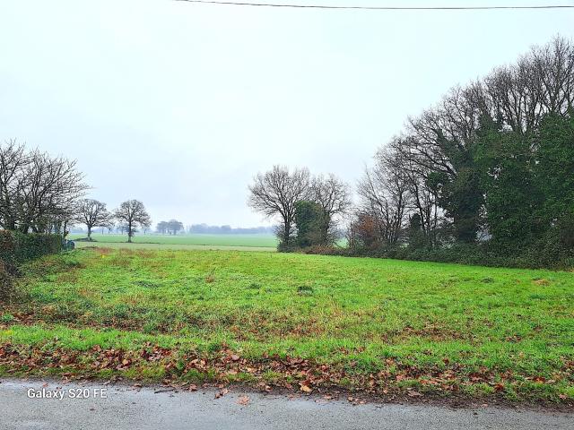 Torcé Vente Terrain 35