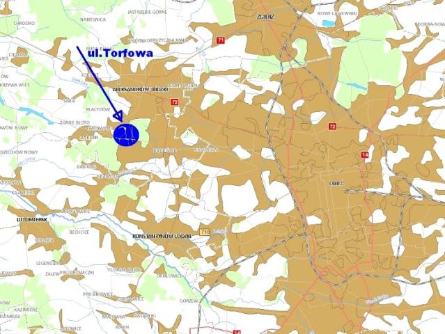 Torfowa 2 073 m², Aleksandrów Łódzki