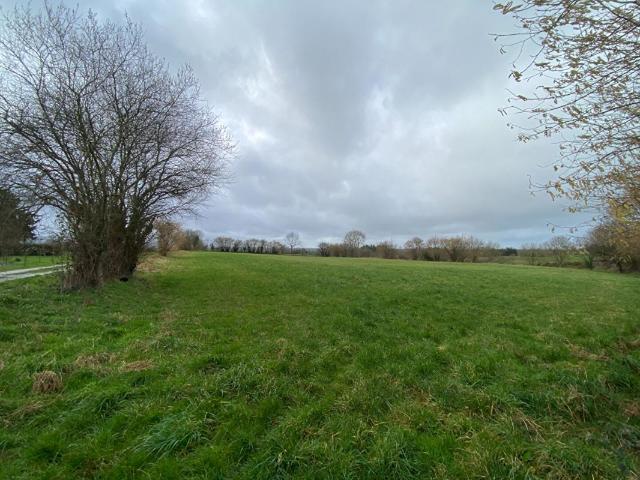 Torigny les Villes Vente Terrain 50
