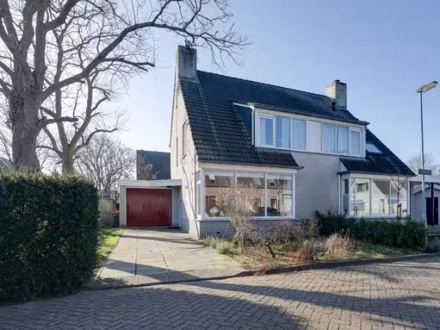 Tormentil 20 Ilpendam