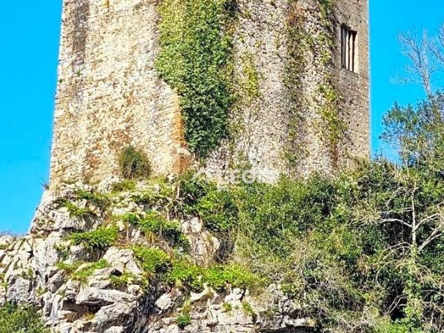 Torreón El Condado, Pola de Laviana, Edificio Histórico