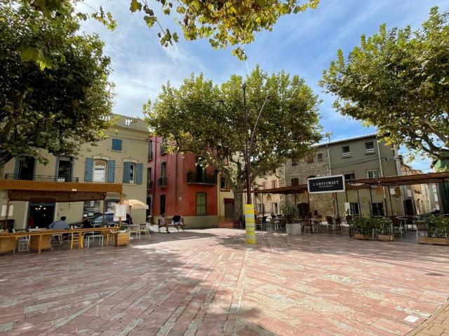Torreilles Vente Immeuble 66