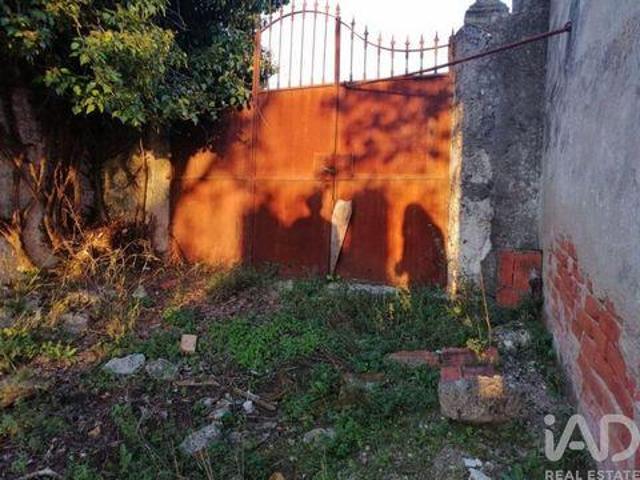 Torres Novas Santarem 100265311