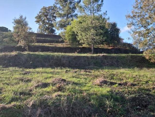 Torres Novas Santarém 2330 544 95946014