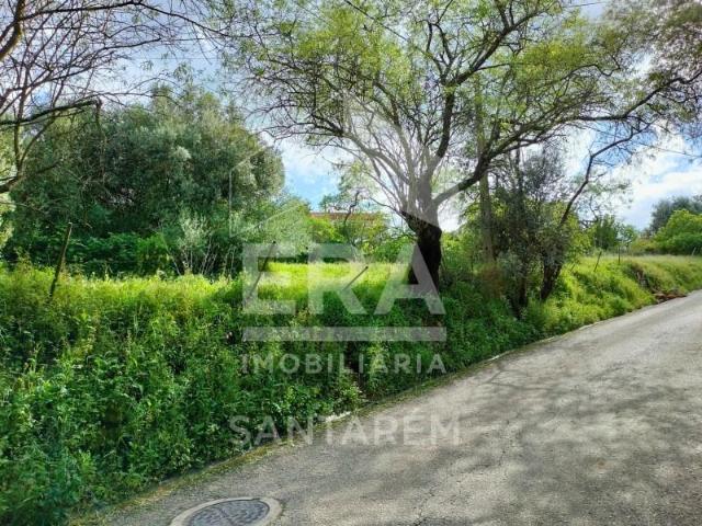 Torres Novas Torres Novas LS91076447