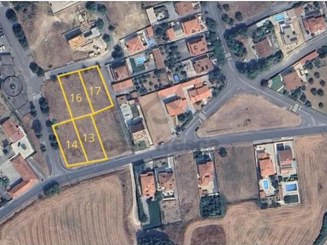 Torres Novas Torres Novas 100015408