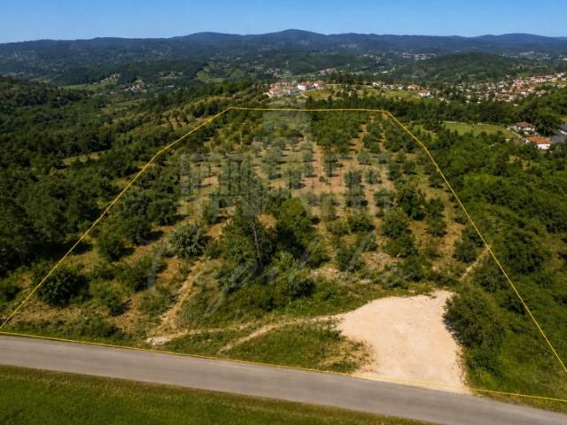 Torres Novas Torres Novas 100420189